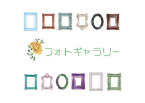 フォトギャラリー